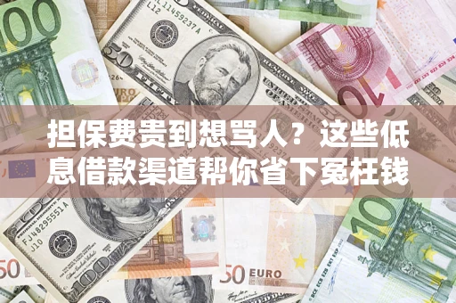 济南担保费贵到想骂人？这些低息借款渠道帮你省下冤枉钱
