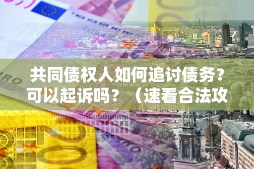 济南共同债权人如何追讨债务？可以起诉吗？（速看合法攻略）