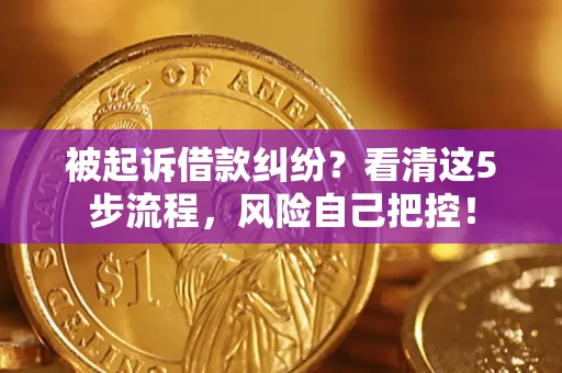 济南被起诉借款纠纷？看清这5步流程，风险自己把控！